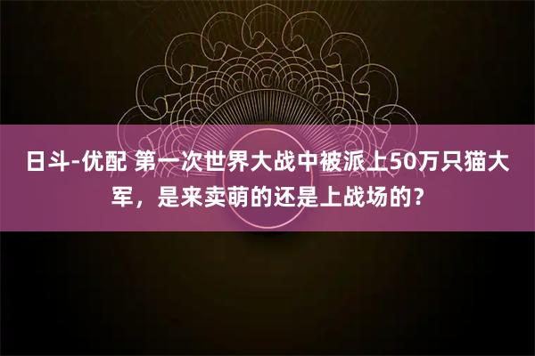 日斗-优配 第一次世界大战中被派上50万只猫大军，是来卖萌的还是上战场的？
