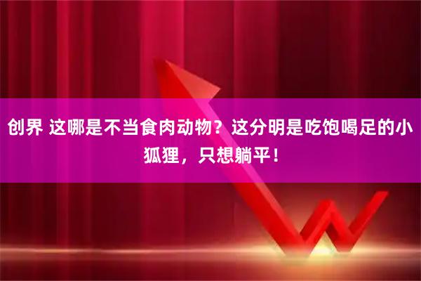 创界 这哪是不当食肉动物？这分明是吃饱喝足的小狐狸，只想躺平！