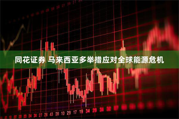 同花证券 马来西亚多举措应对全球能源危机