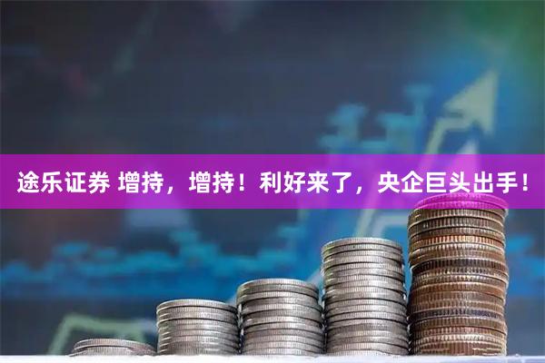 途乐证券 增持，增持！利好来了，央企巨头出手！