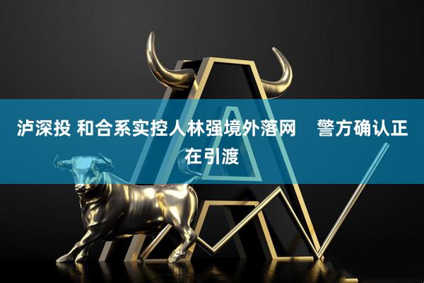 泸深投 和合系实控人林强境外落网 警方确认正在引渡