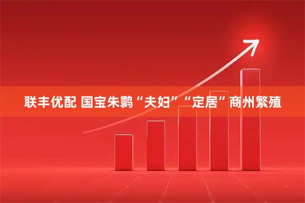 联丰优配 国宝朱鹮“夫妇”“定居”商州繁殖