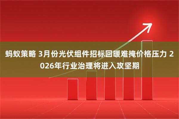 蚂蚁策略 3月份光伏组件招标回暖难掩价格压力 2026年行业治理将进入攻坚期