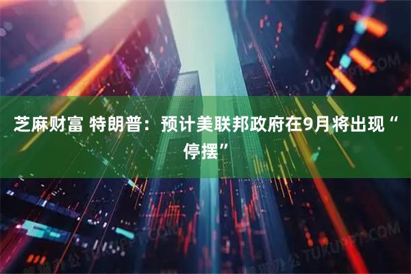 芝麻财富 特朗普：预计美联邦政府在9月将出现“停摆”