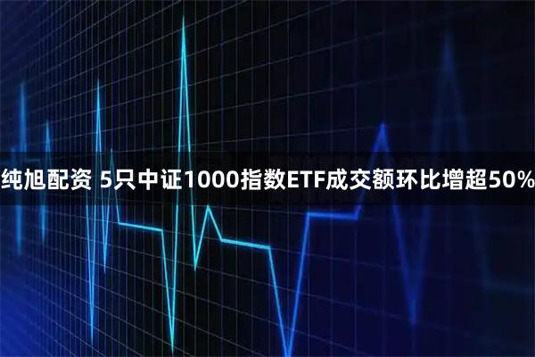 纯旭配资 5只中证1000指数ETF成交额环比增超50%