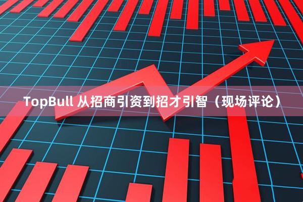 TopBull 从招商引资到招才引智（现场评论）