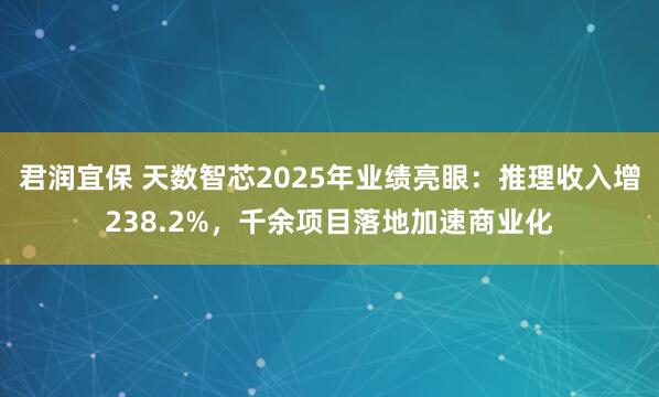 君润宜保 天数智芯2025年业绩亮眼：推理收入增238.2%，千余项目落地加速商业化