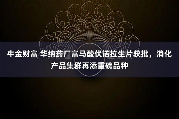 牛金财富 华纳药厂富马酸伏诺拉生片获批，消化产品集群再添重磅品种