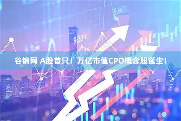 谷锦网 A股首只！万亿市值CPO概念股诞生！