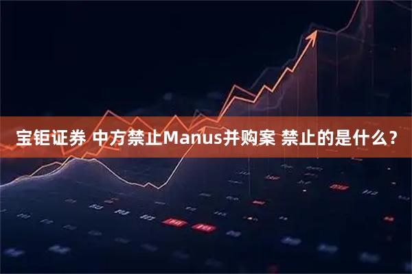 宝钜证券 中方禁止Manus并购案 禁止的是什么?