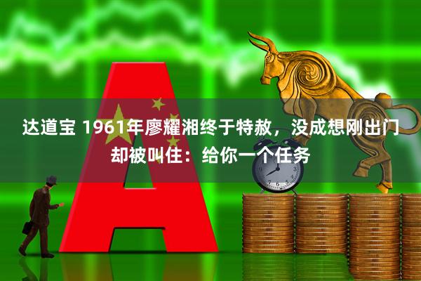 达道宝 1961年廖耀湘终于特赦,没成想刚出门却被叫住:给你一个任务