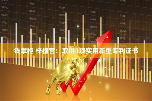 钱掌柜 梓橦宫：取得1项实用新型专利证书