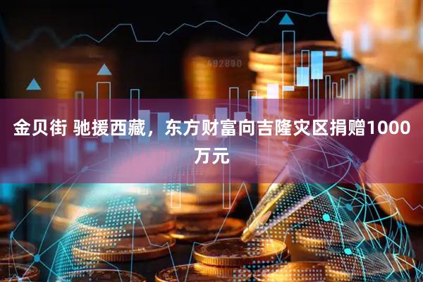 金贝街 驰援西藏，东方财富向吉隆灾区捐赠1000万元