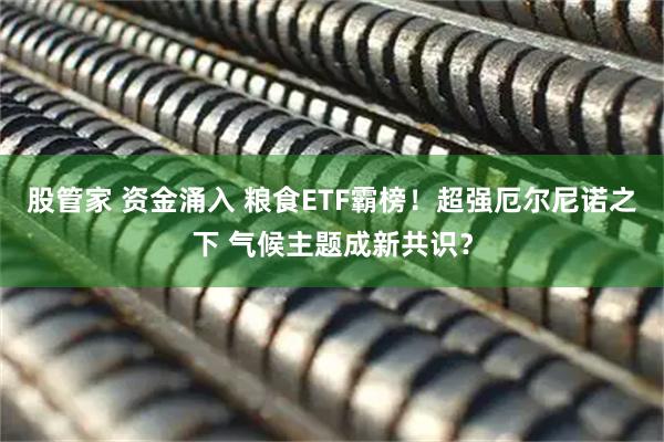 股管家 资金涌入 粮食ETF霸榜！超强厄尔尼诺之下 气候主题成新共识？